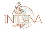 Interna Development