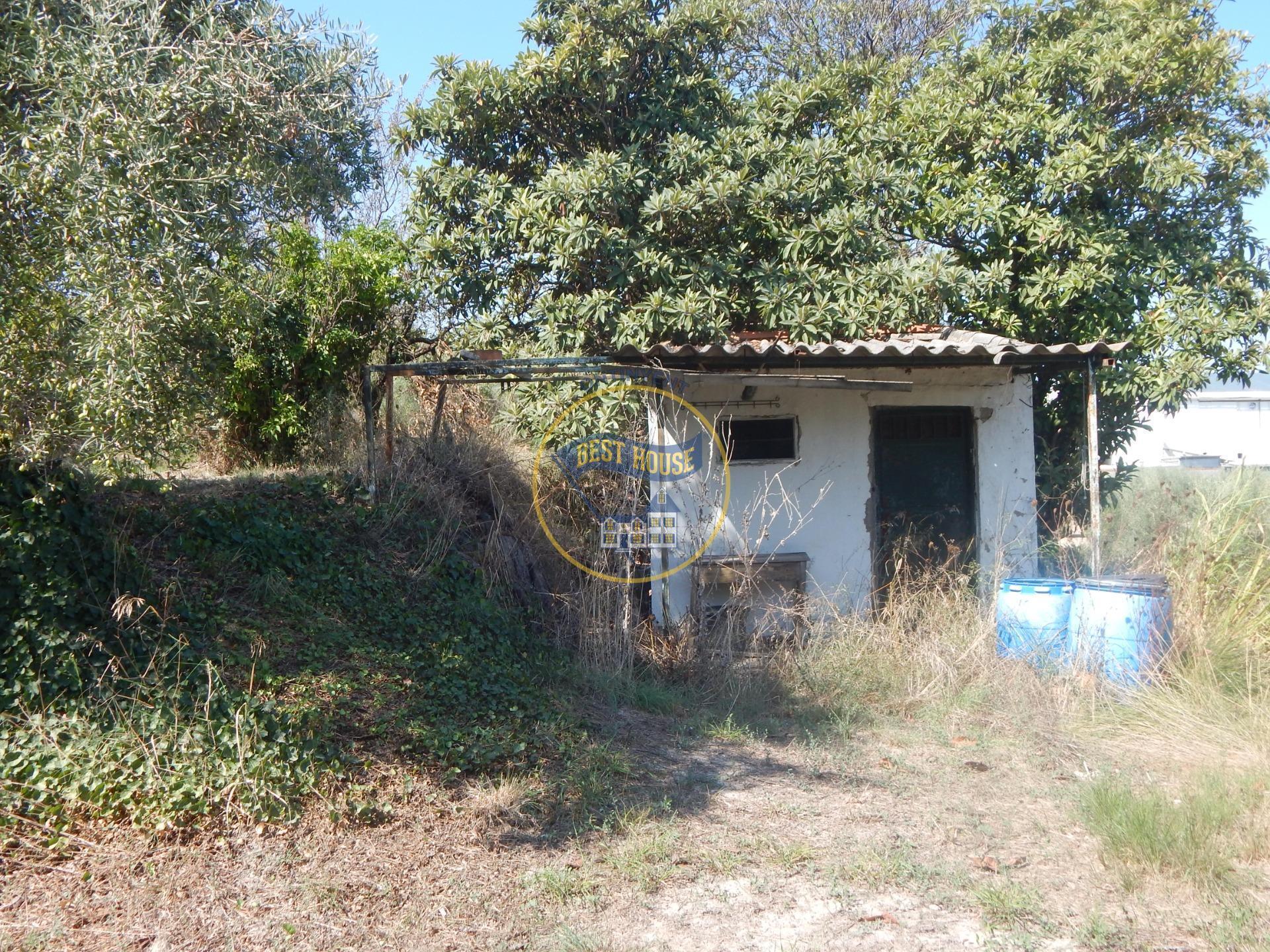 Land in Alquerías del Niño Perdido for sale Building Photo- Image 1 of 23