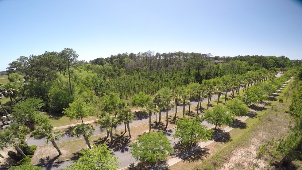 Hwy 59, Gulf Shores, AL for sale - Building Photo - Image 1 of 1