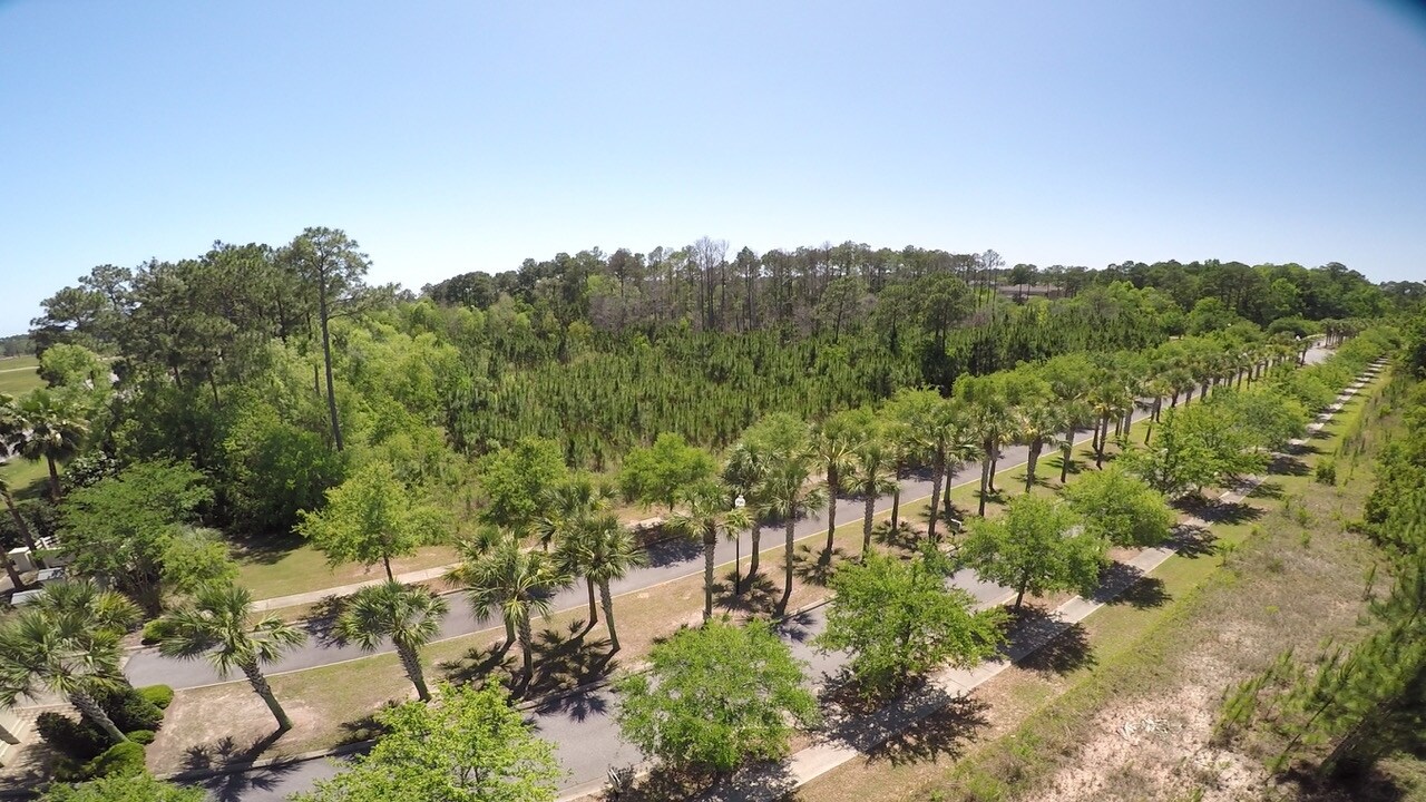 Hwy 59, Gulf Shores, AL for sale Building Photo- Image 1 of 1