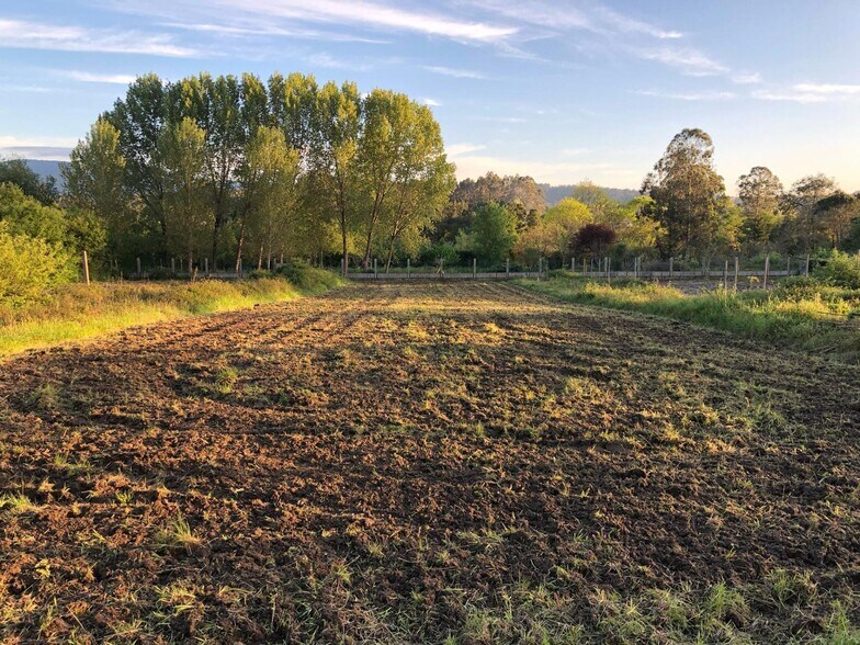 Land in Meis, Pontevedra for sale - Building Photo - Image 2 of 19