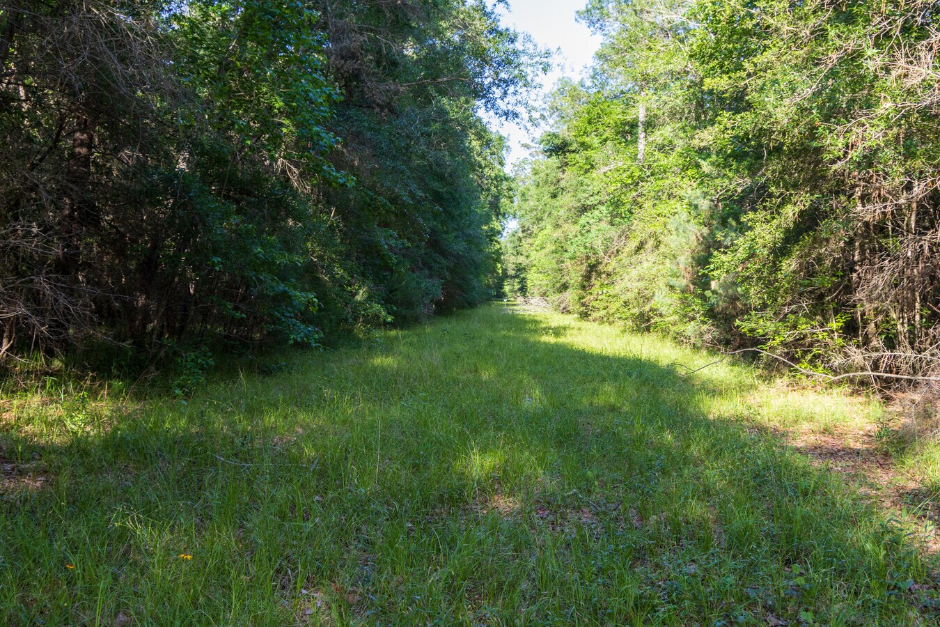 0 FM 1663, Hankamer, TX 77560 0 FM 1663, Hankamer, TX 77560