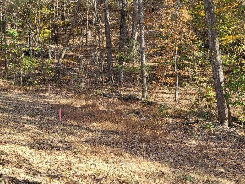 00 Keith Salem Rd, Ringgold, GA 30736 Land for Sale