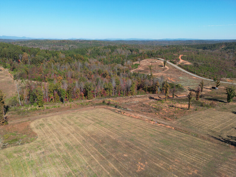 Tryon Crossing, Mill Spring, NC for sale - Aerial - Image 3 of 8