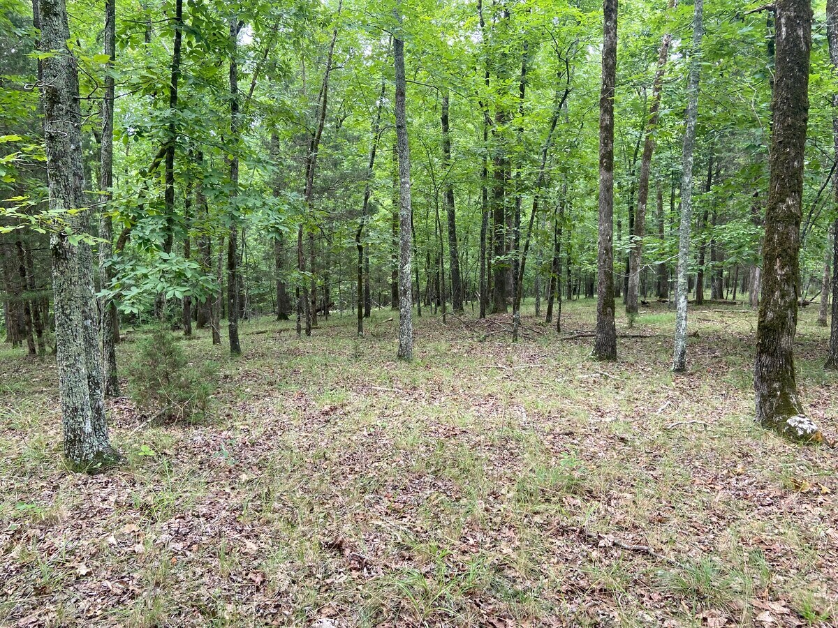 Catfish Cove, Waterloo, SC 29384