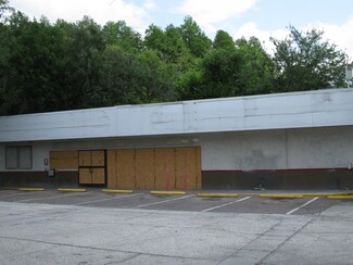 More details for 4736 Land O Lakes Blvd, Land O Lakes, FL - Retail for Sale