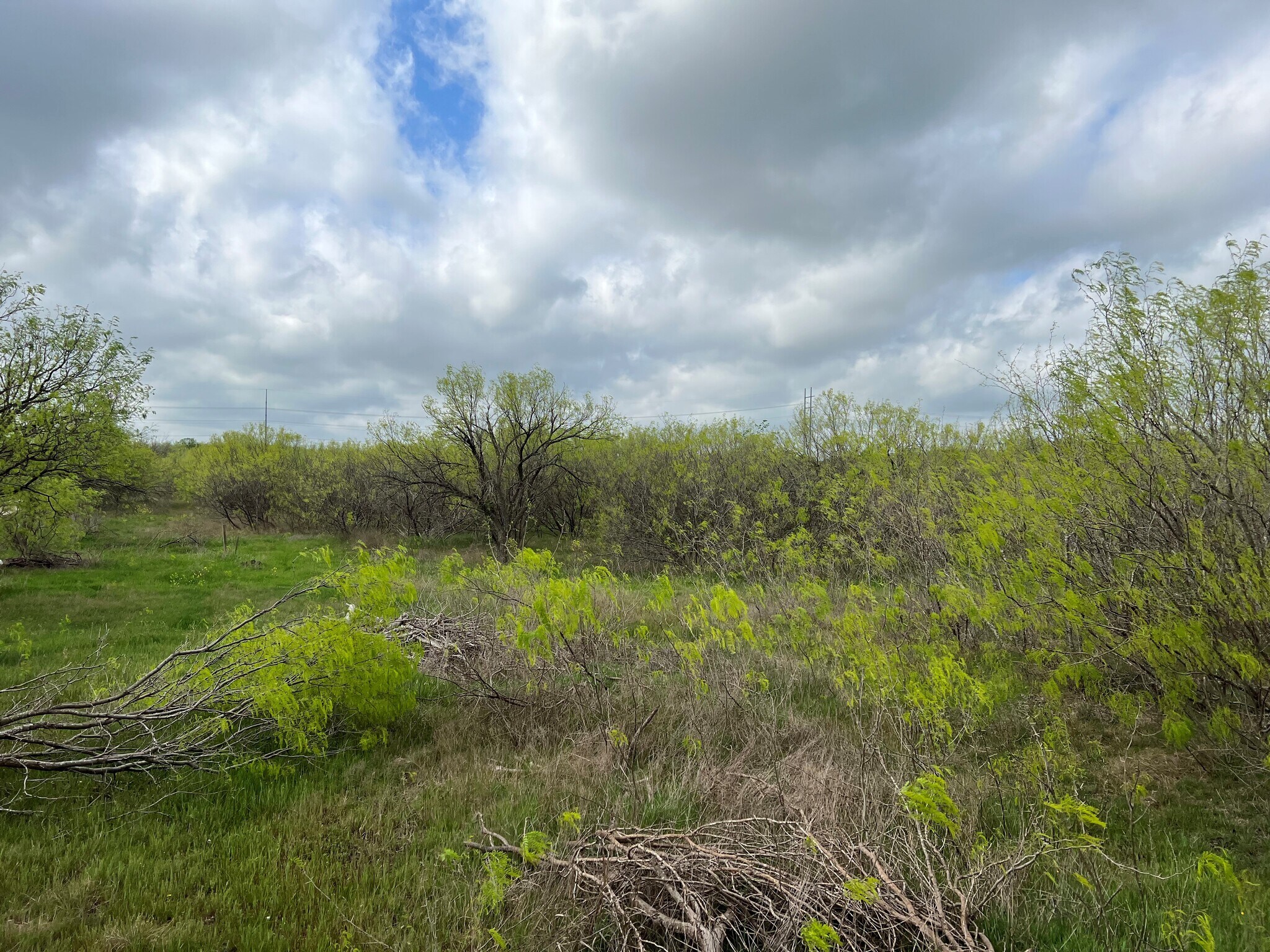Williamson Rd, Lockhart, TX 78644 Land for Sale
