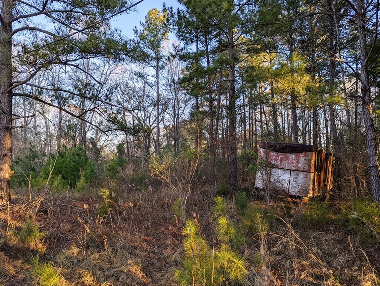 Highway 280 & Highway, Abbeville, GA for sale - Building Photo - Image 3 of 13