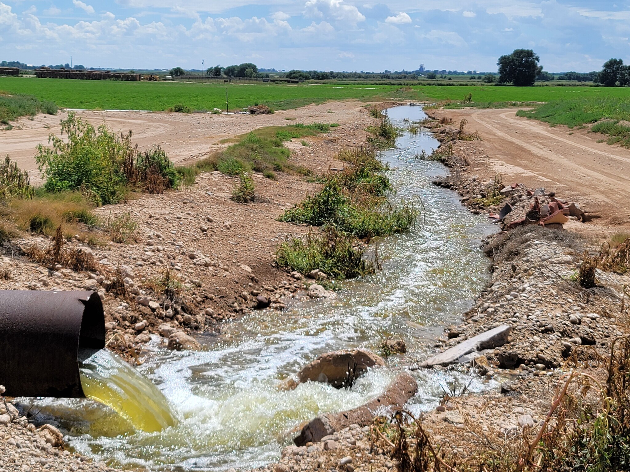 217 N Red Bridge Rd, Roswell, NM 88201 Fenn Farm