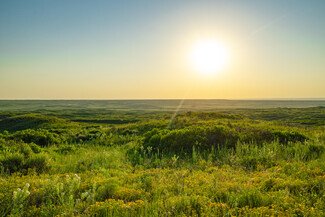 More details for Reynolds Ranch Road, Pampa, TX - Land for Sale