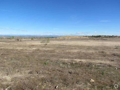 Camino Valdehornos, s/n, La Torre de Esteban Hambrán, Toledo for sale - Primary Photo - Image 1 of 1