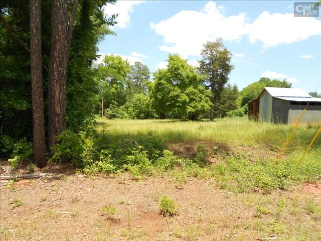 1 St. Peters Church Rd, Chapin, SC for sale - Building Photo - Image 2 of 4