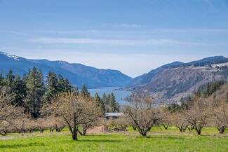 More details for SW Cherry Blossom Lane, White Salmon, WA - Land for Sale
