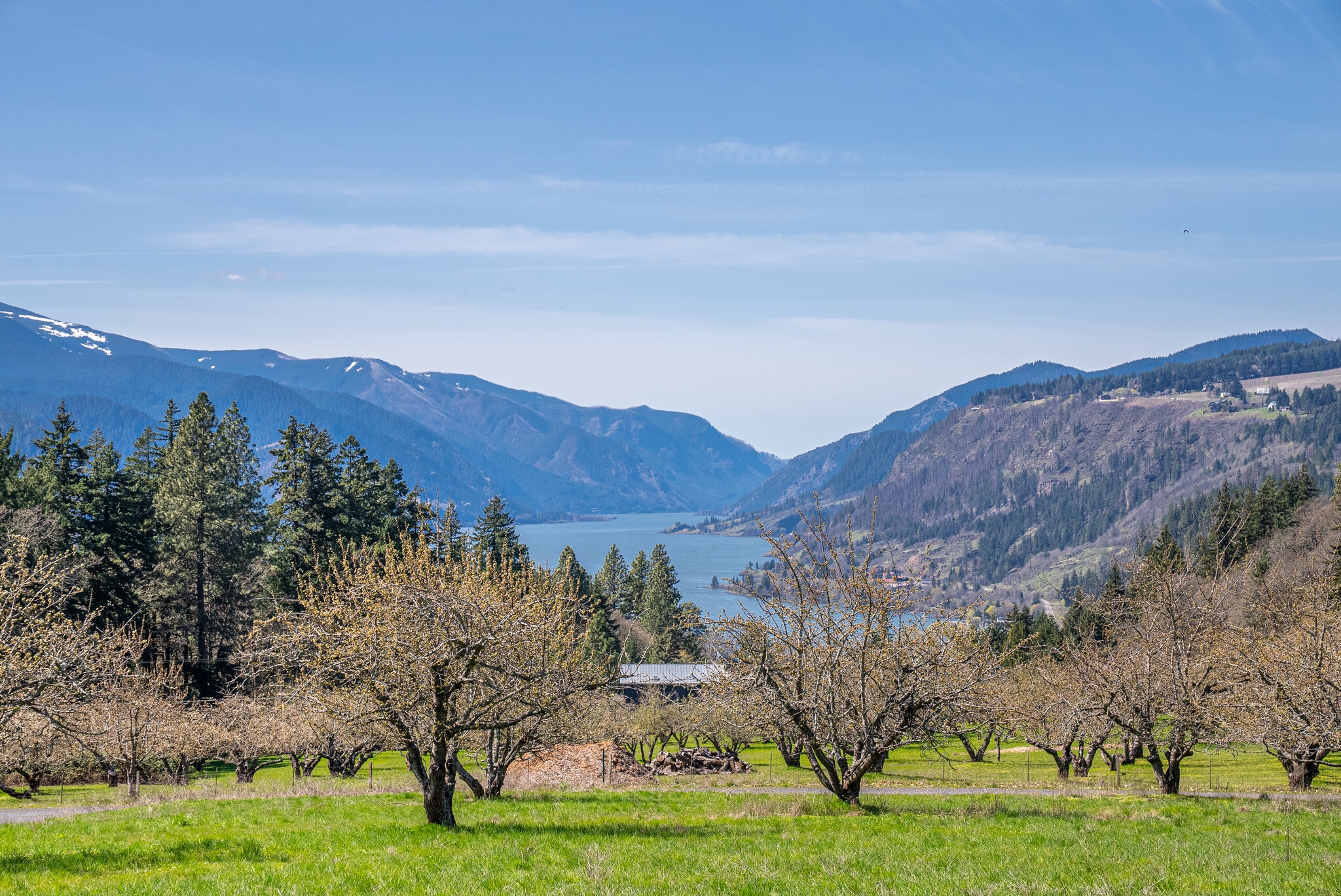 SW Cherry Blossom Lane, White Salmon, WA for sale Primary Photo- Image 1 of 12
