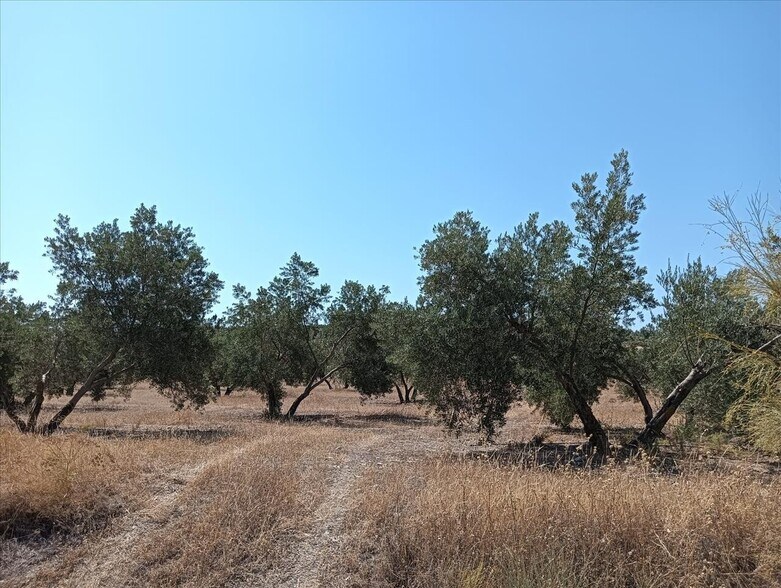 Land in Jódar for sale - Building Photo - Image 3 of 22