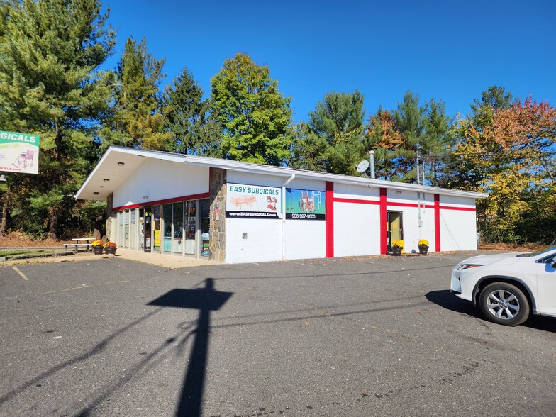 601 E Main St, Bridgewater, NJ for lease - Building Photo - Image 1 of 30