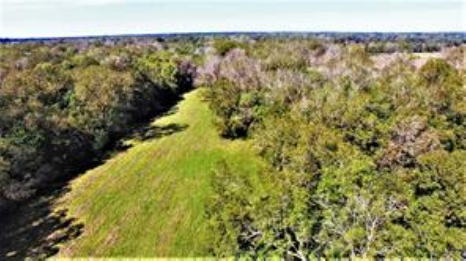 3832 Fm 1301 Rd, Pledger, TX 77468