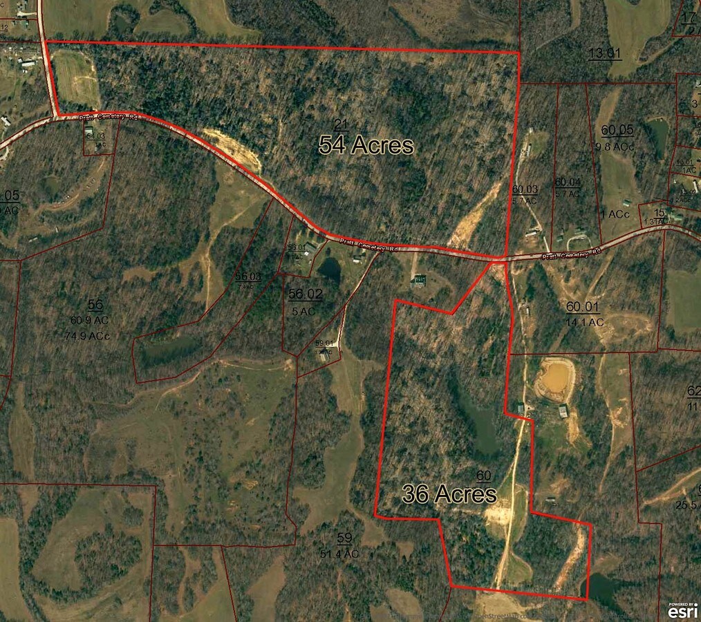 107 Pratt Cemetery Rd, Milan, TN 38358