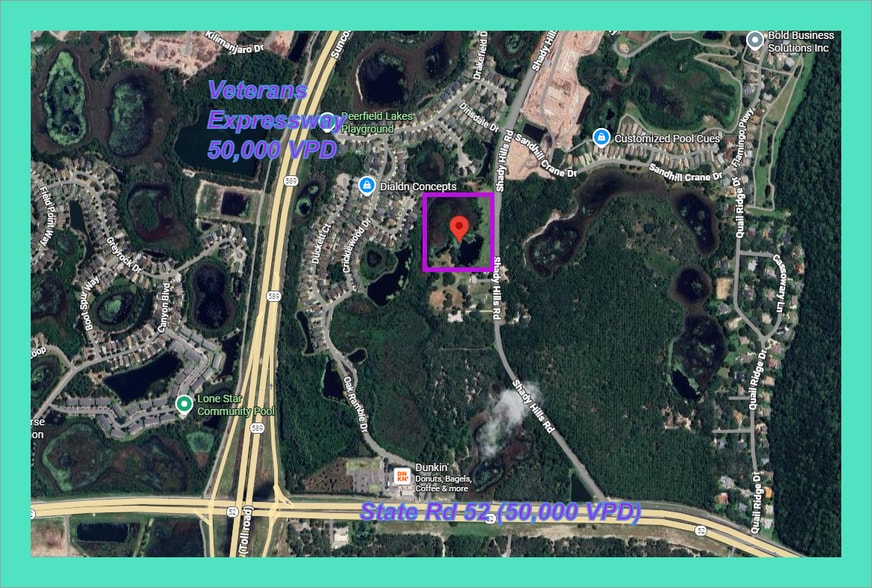 12317-12321 Shady Hills Rd, Spring Hill, FL for sale - Building Photo - Image 3 of 6