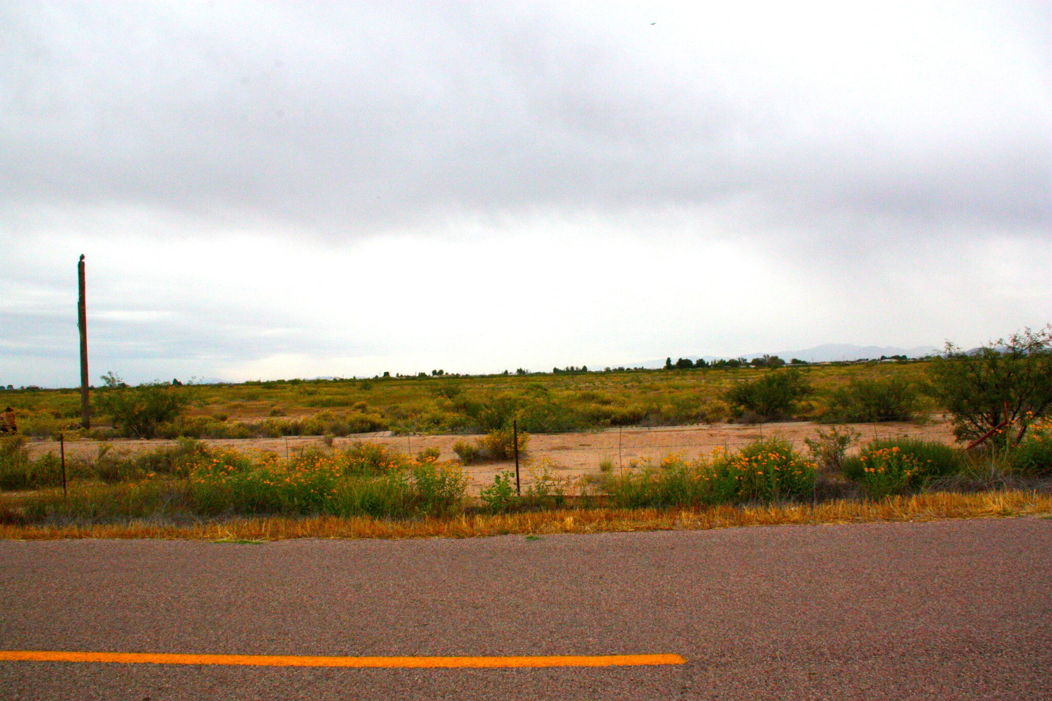 8001 W Old Stewart Rd, Willcox, AZ for sale Building Photo- Image 1 of 1