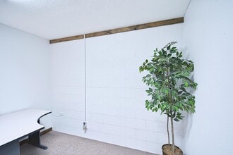 1111 N Walnut Ave, New Braunfels, TX for lease Interior Photo- Image 1 of 7