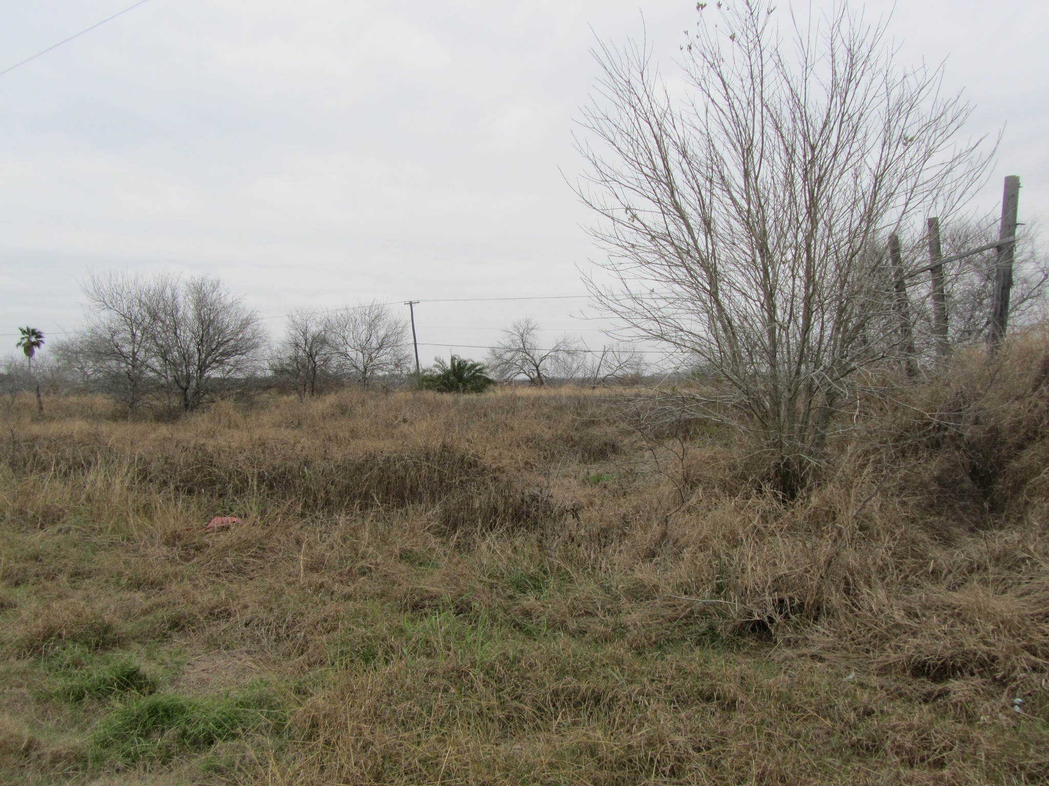 1480 Hwy 44, Robstown, TX for sale Building Photo- Image 1 of 1