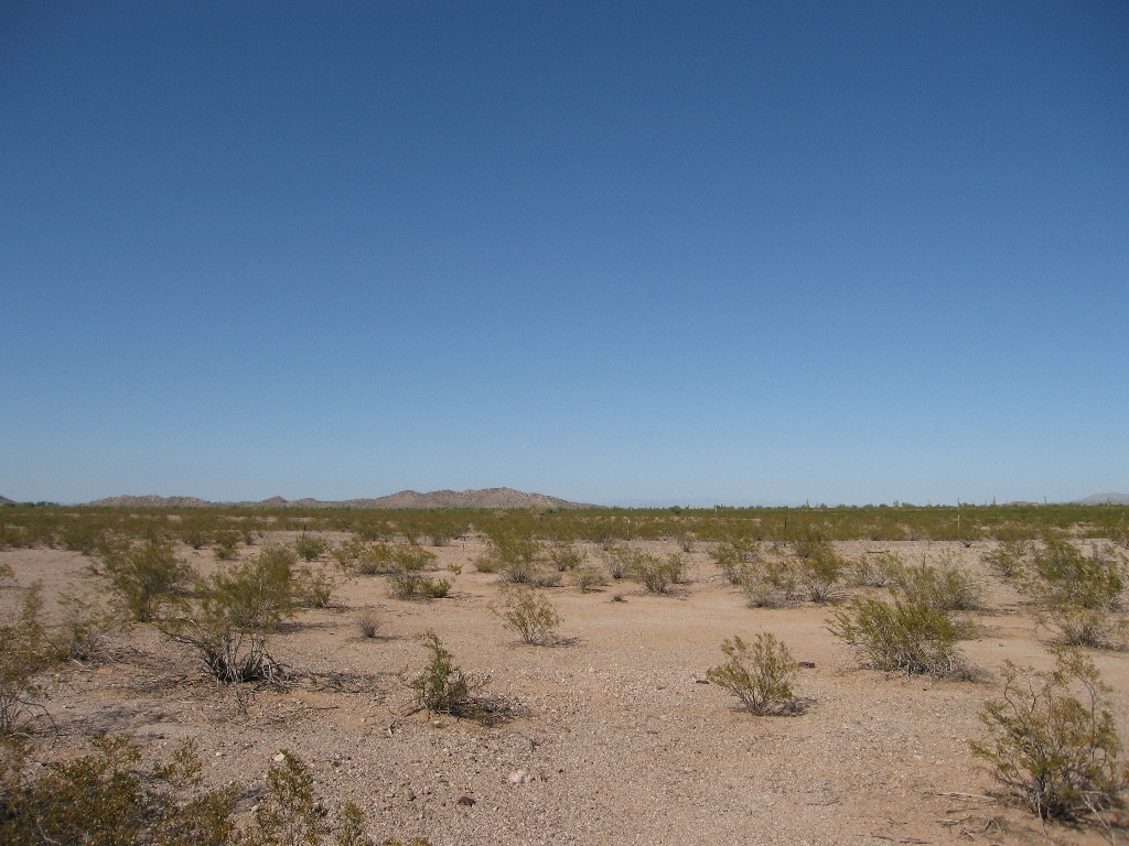 355th & Indian School Rd, Tonopah, AZ for sale Primary Photo- Image 1 of 2