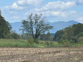 Townson Conservation Easement - Barndominium