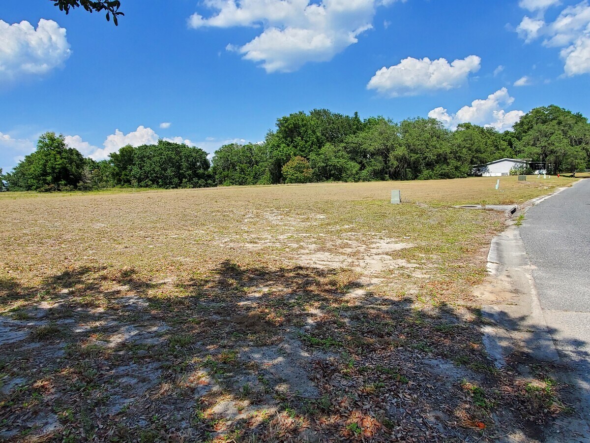 25115 Alamanda Dr, Astatula, FL 34705