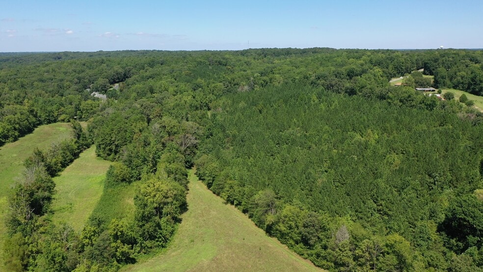 4303 Davidson, Davidson, NC for sale - Building Photo - Image 3 of 10