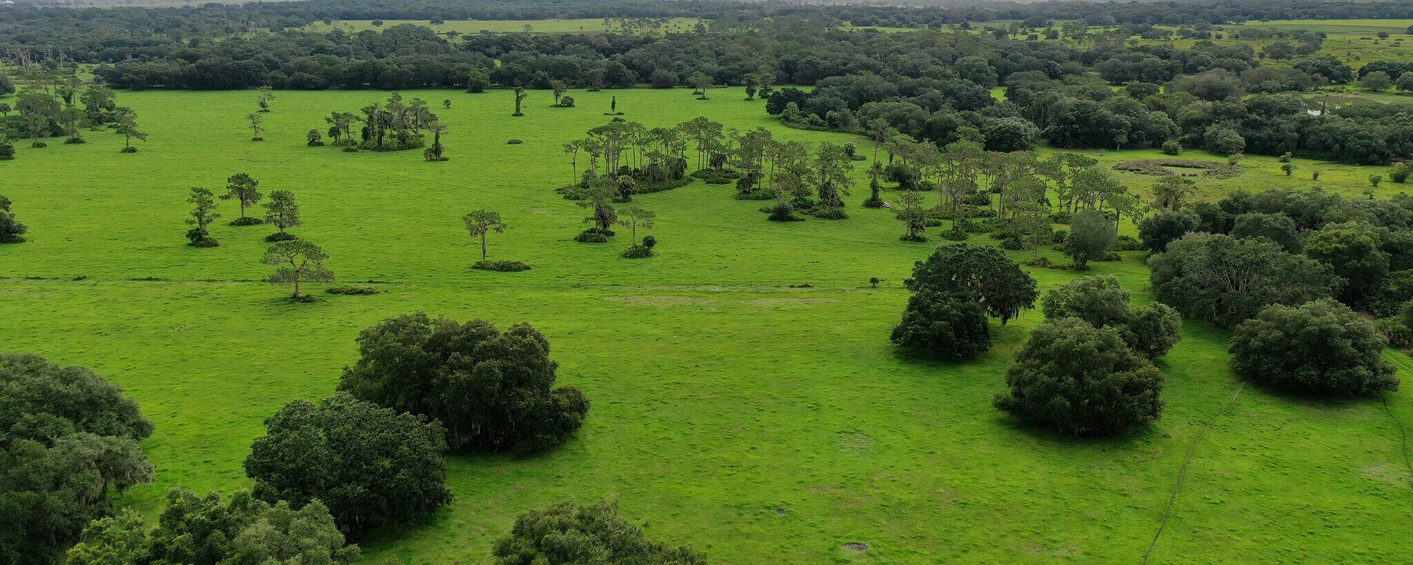 14715 Mossy Hammock Ln, Myakka City, FL for sale Primary Photo- Image 1 of 1