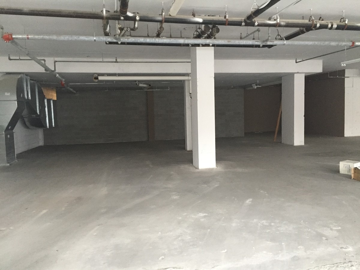 257 Gold St, Brooklyn, NY 11201 - Doggie Daycare, Gym, Studio, Senior