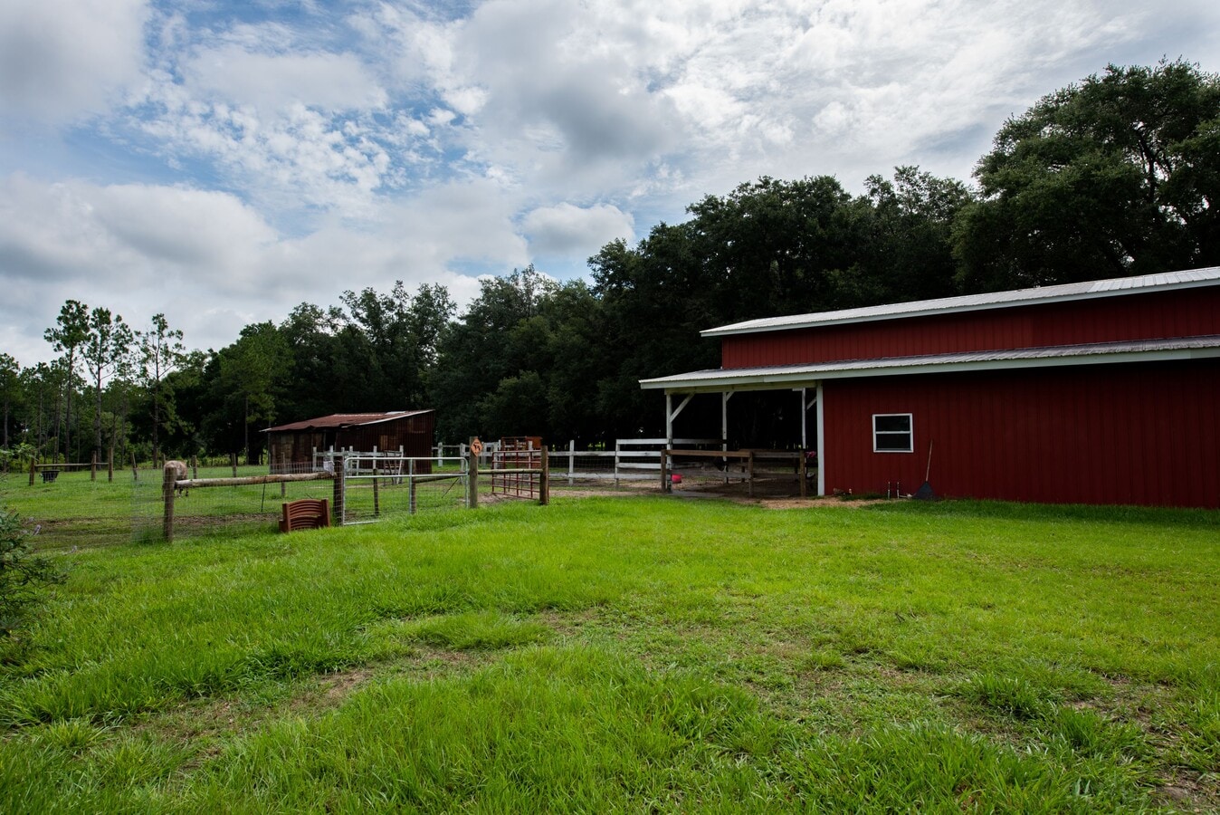 13566 Haynes, Dover, FL 33527