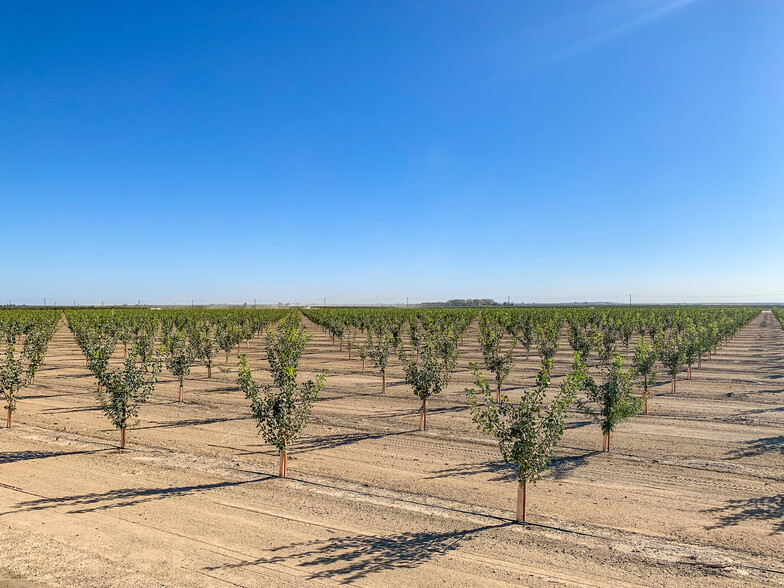 W. Lerdo Hwy., Buttonwillow, CA for sale - Primary Photo - Image 1 of 1