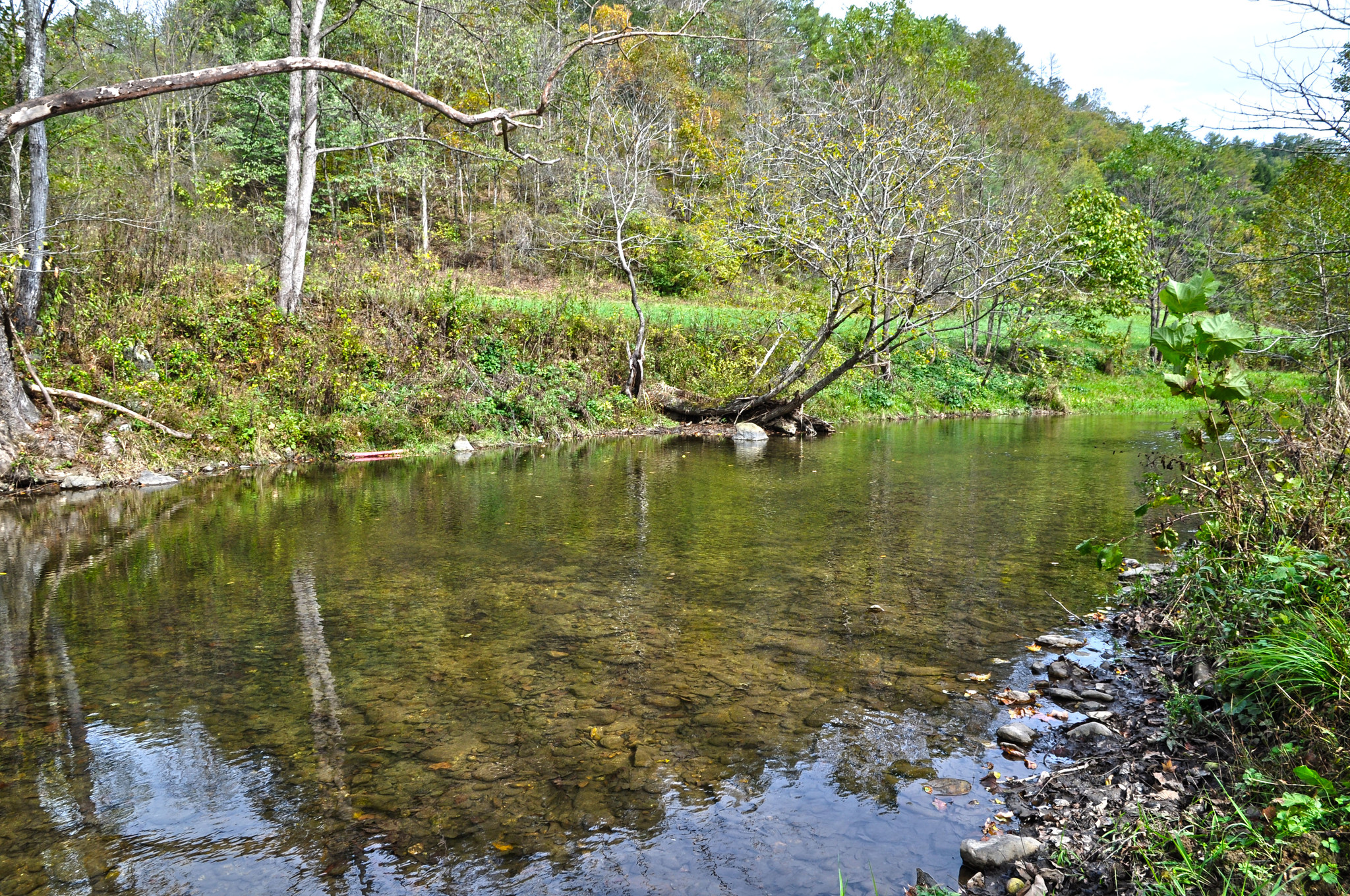 3619 Lonesome Mountain Rd, Marshall, NC for sale Other- Image 1 of 1