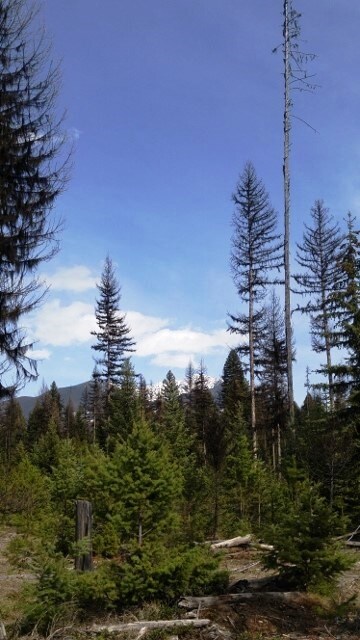 View Photo