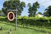 Jean Farris Winery - Vineyard