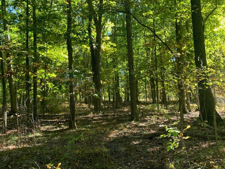 19345 Ridge Rd, North Royalton, OH for sale - Building Photo - Image 3 of 39