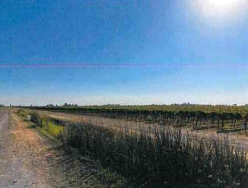 50355 Willow Point Rd, Clarksburg, CA for sale Primary Photo- Image 1 of 1