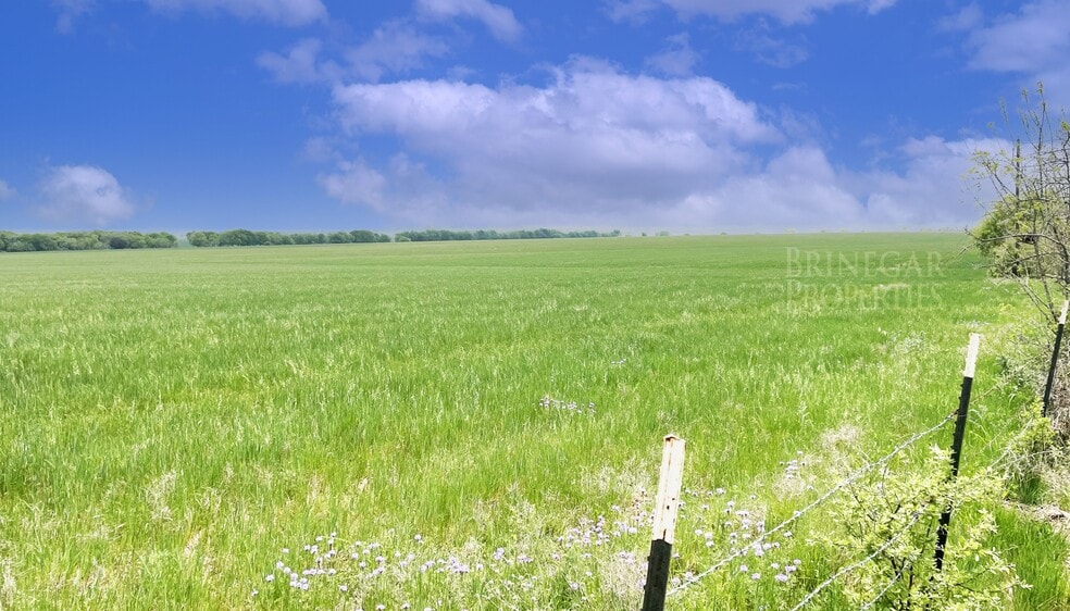 County Road 307, Jarrell, TX for sale - Other - Image 3 of 3