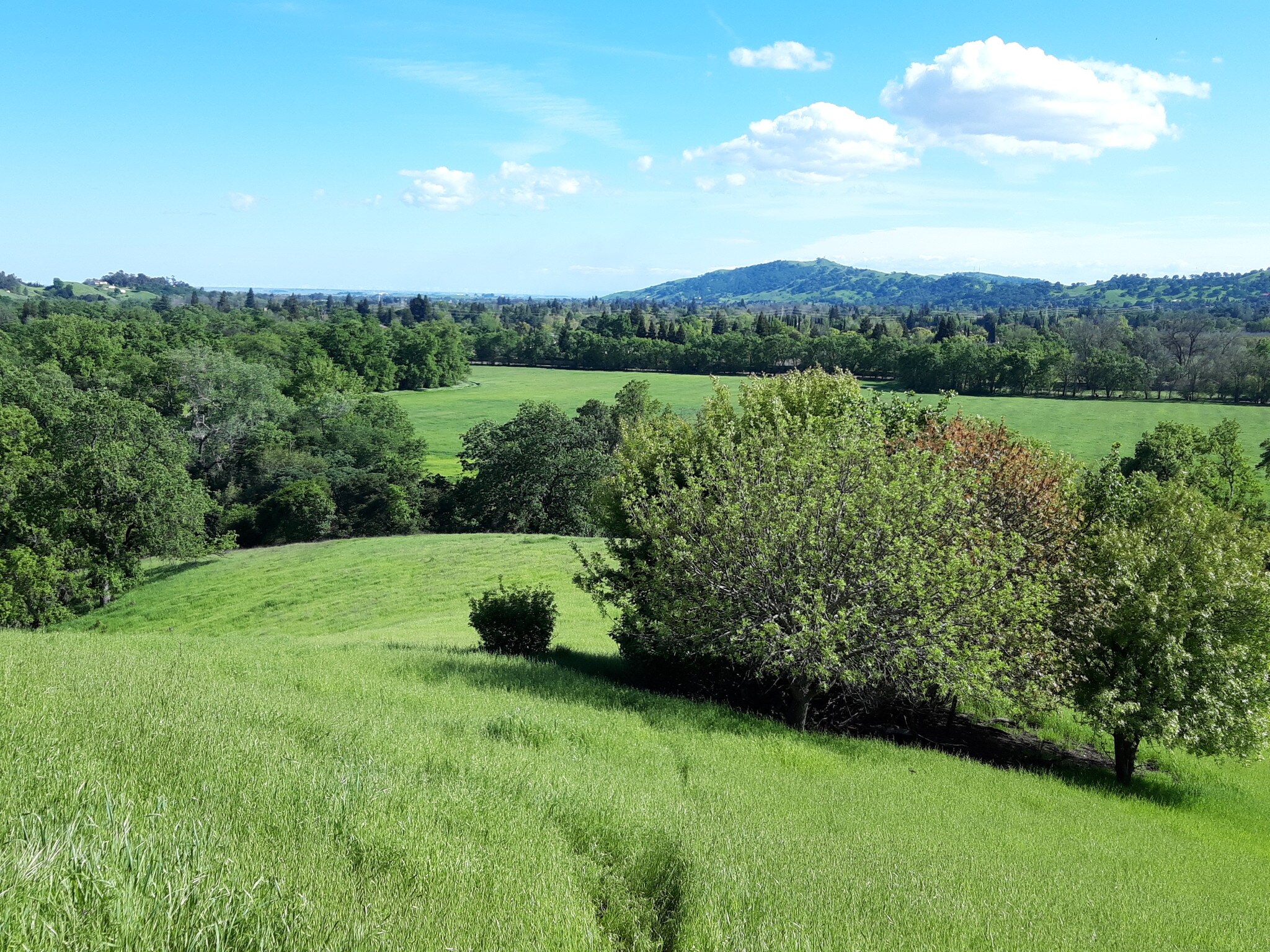 Vaca Valley Rd & Farrell Ln, Vacaville, CA for sale Other- Image 1 of 1