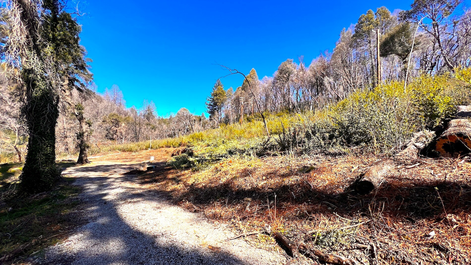 11035 Empire Grade, Bonny Doon, CA 95060 Land for Sale