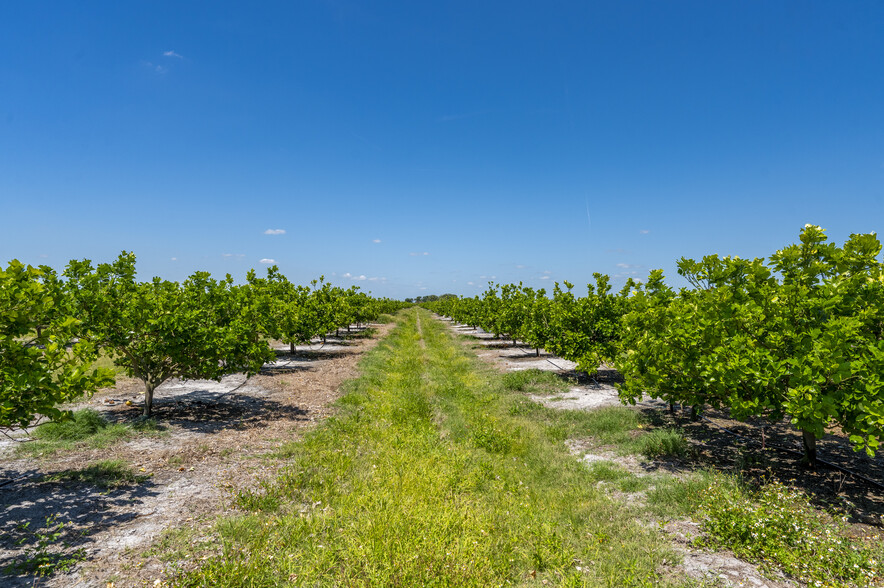 Hwy 31, Arcadia, FL for sale - Primary Photo - Image 3 of 11