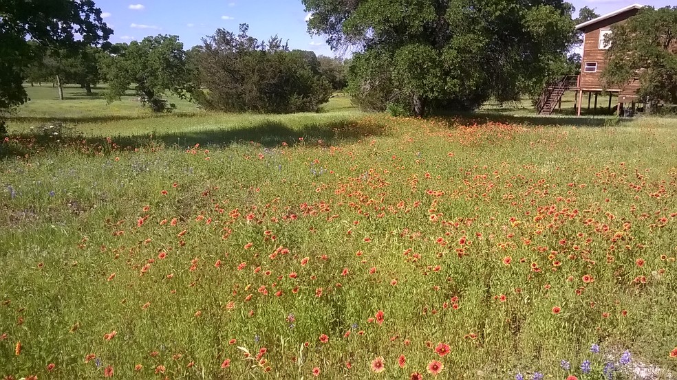 7688 Highway 261, Buchanan Dam, TX for sale - Interior Photo - Image 1 of 1