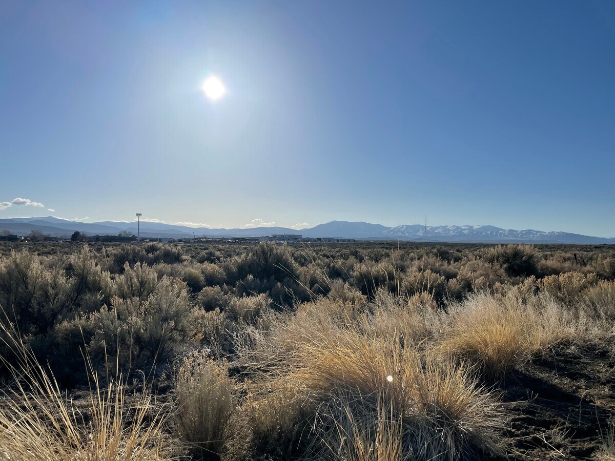 Johnson Ln, Minden, NV 89423