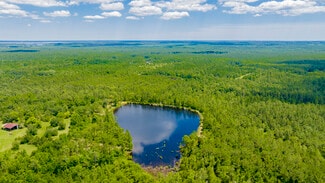 More details for 0 Red Feather Dr, Seminole, AL - Land for Sale