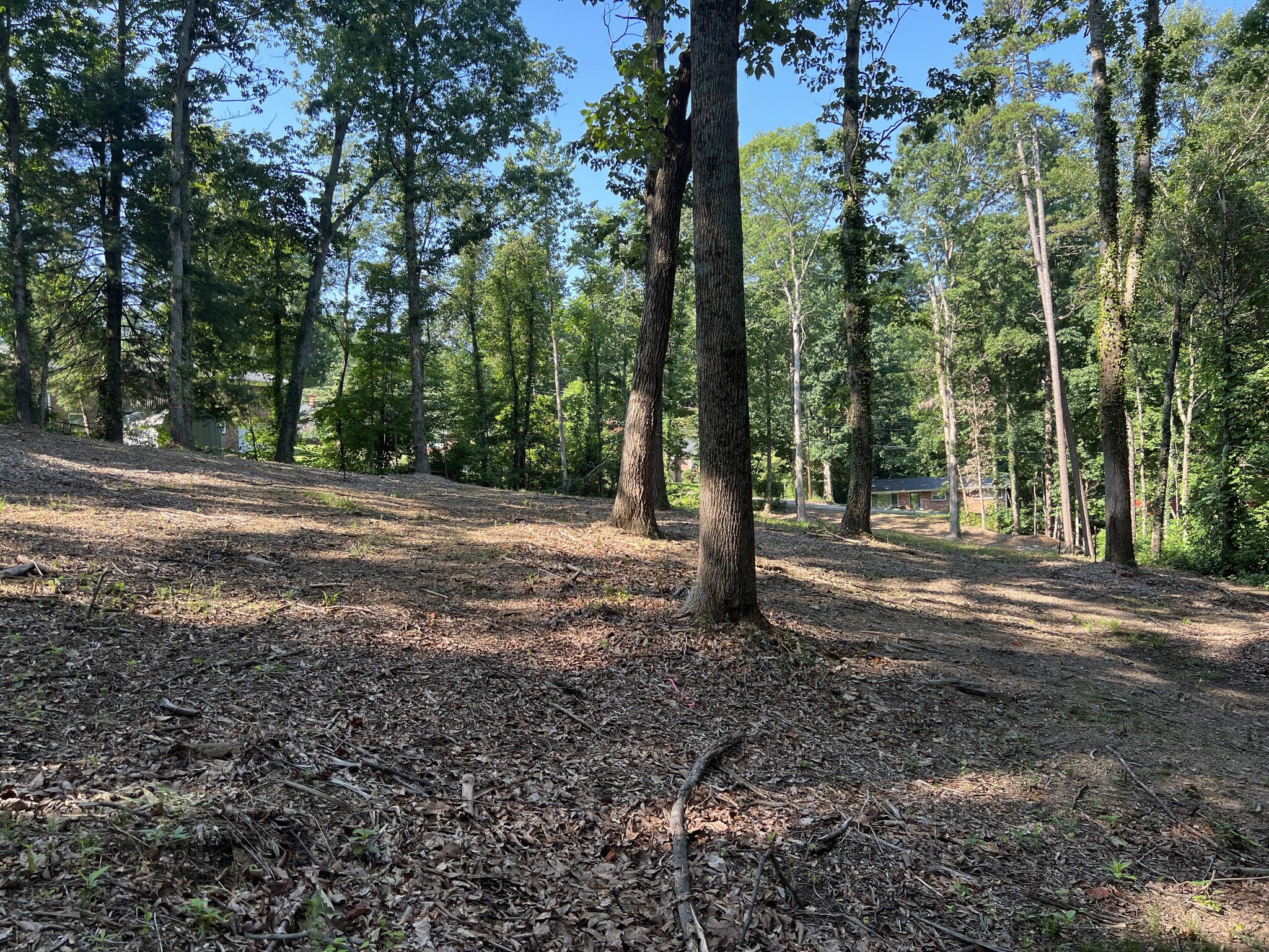 719 8th Avenue SE, Hickory, NC for sale Primary Photo- Image 1 of 1