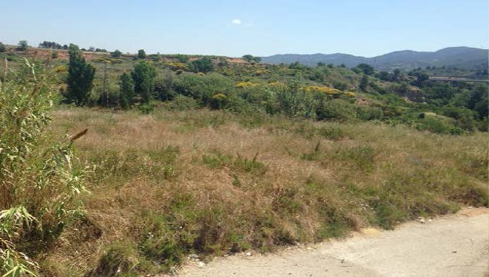 Land in Sant Sadurní d'Anoia, Barcelona for sale - Building Photo - Image 2 of 4