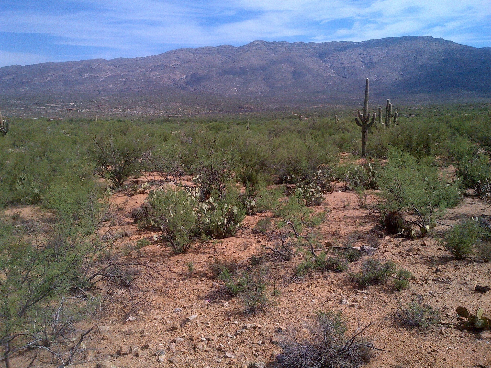 S Tumbleweed Rd, Santa Rita Foothills, AZ for sale Primary Photo- Image 1 of 1