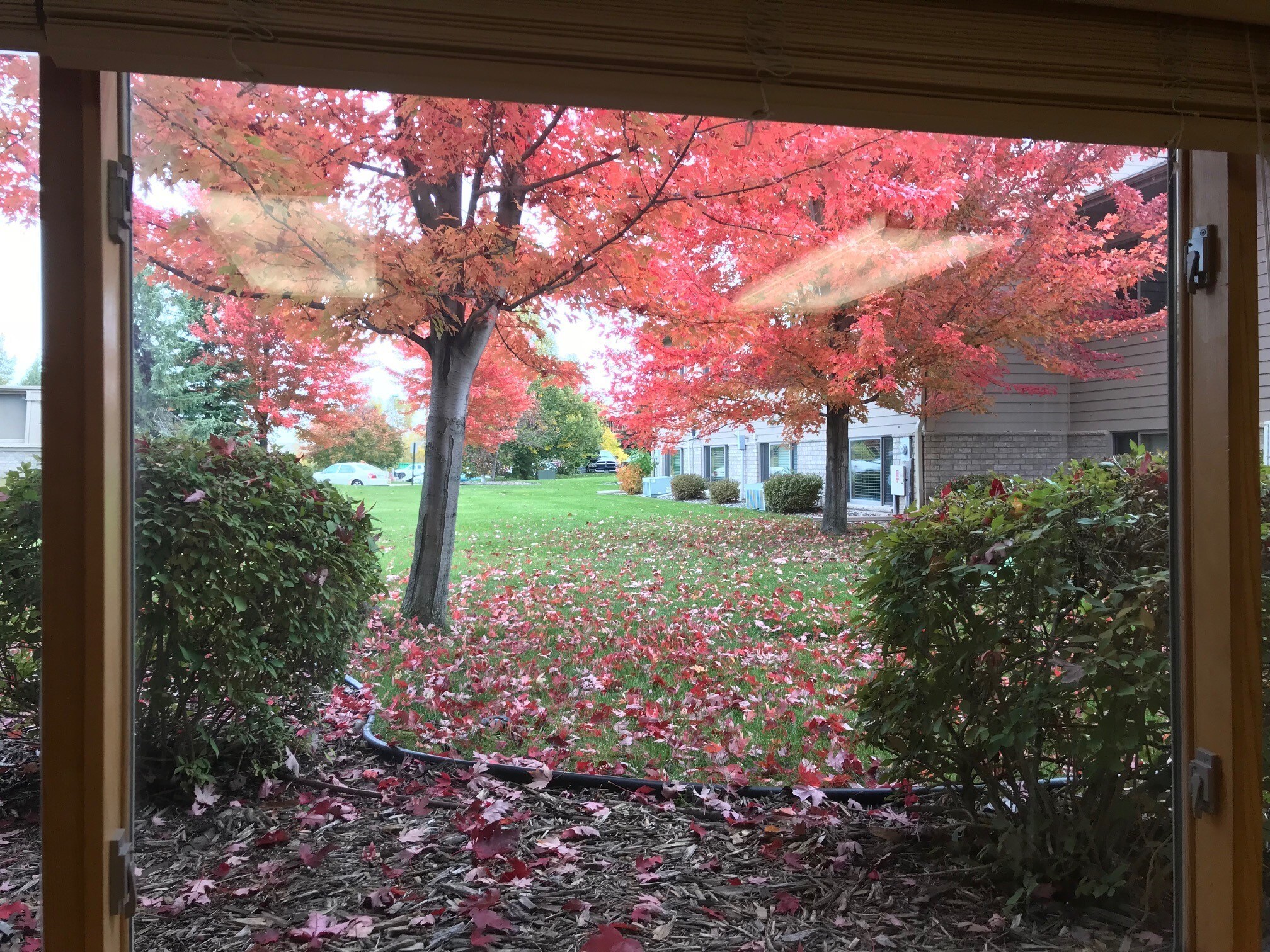 7218 Forestview Ln N, Maple Grove, MN for sale Other- Image 1 of 1